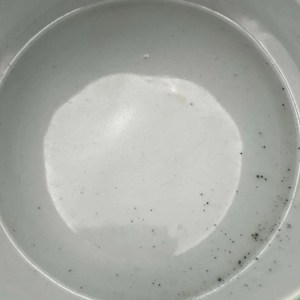 Chinese Fahua-Style Relief Porcelain Bowl w/ Crane &‎ Lotus - Kangxi Mark